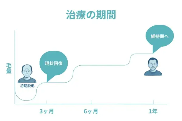 ヘアサイクルの正常化までの期間が分かる画像