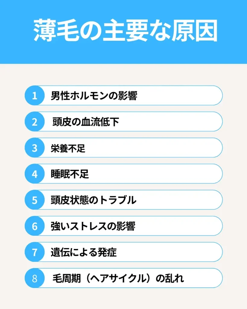薄毛の主要な原因が分かる画像