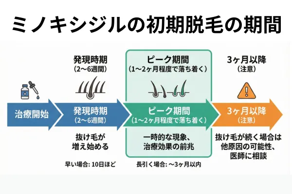 ミノキシジルの初期脱毛が起きる期間は治療開始から2～6週間