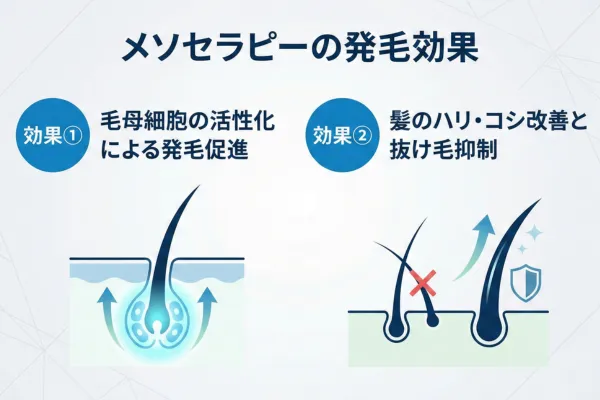 ã¡ãœã»ã©ããŒã®çºæ¯å¹æ