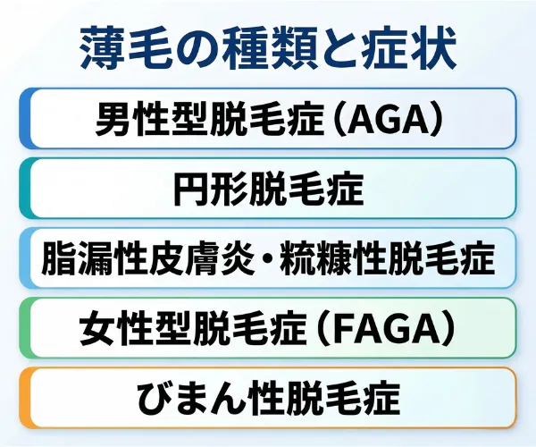 薄毛の種類と症状