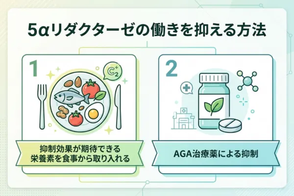 5αリダクターゼの働きを抑える方法