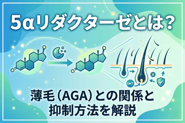 5αリダクターゼとは？薄毛（AGA）との関係と抑制方法を解説