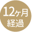 12ヶ月経過