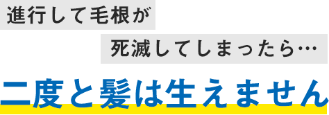 進行して毛根が死滅してしまったら二度と髪は生えません