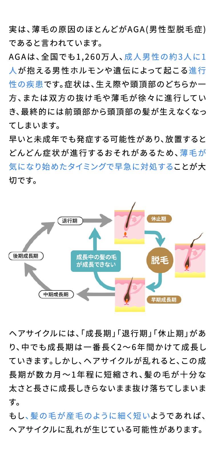 実は、薄毛の原因のほとんどがAGA(男性型脱毛症)であると言われています。AGAは、全国でも1,260万人、成人男性の約3人に1人が抱える男性ホルモンや遺伝によって起こる進行性の疾患です。症状は、生え際や頭頂部のどちらか一方、または双方の抜け毛や薄毛が徐々に進行していき、最終的には前頭部から頭頂部の髪が生えなくなってしまいます。早いと未成年でも発症する可能性があり、放置するとどんどん症状が進行するおそれがあるため、薄毛が気になり始めたタイミングで早急に対処することが大切です。ヘアサイクルには、「成長期」「退行期」「休止期」があり、中でも成長期は一番長く2～6年間かけて成長していきます。しかし、ヘアサイクルが乱れると、この成長期が数カ月～1年程に短縮され、髪の毛が十分な太さと長さに成長しきらないまま抜け落ちてしまいます。もし、髪の毛が産毛のように細く短いようであれば、ヘアサイクルに乱れが生じている可能性があります。