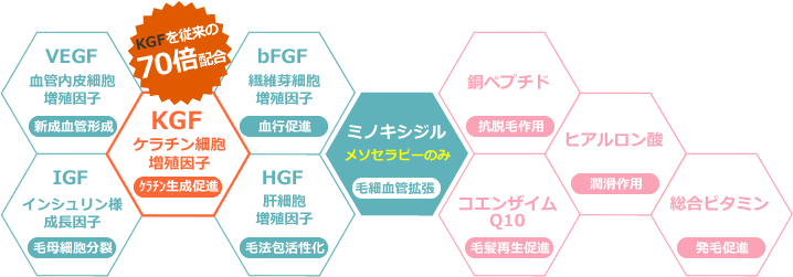 毛包の発毛環境を改善するグロースファクター(成長因子)KGFを従来の70倍配合し、さらに高濃度・高品質のミノキシジルを独自配合したオリジナルカクテル